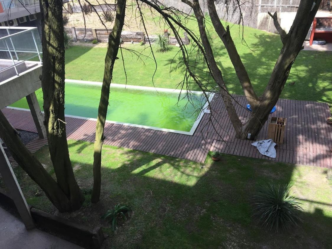 Mirasoles 20